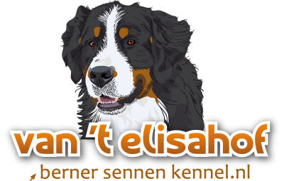 Berner sennen kennel Van 't Elisahof